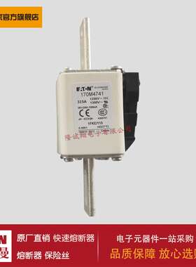 熔断器170M4767 170M4768 170M4769 170M5758 170M5759 170M5760