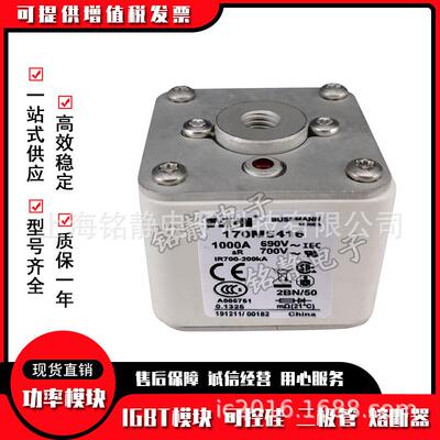 170M5499 170M5500 170M5644 170M5645 170M5646熔断器巴斯曼