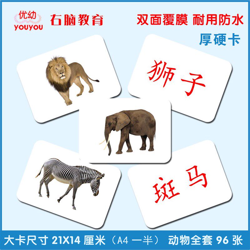 早教杜曼百科动物闪卡右脑潜能开发宝宝儿童益智看图识字认知卡片