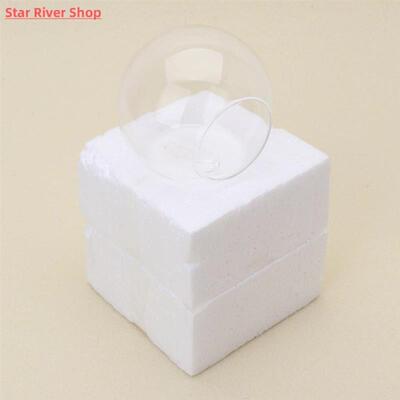 Transparent Glass Vase Wall Hanging Hydroponic Terrarium Fis