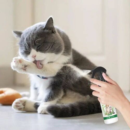 Pet external insect repellent spray natural medicine mild an