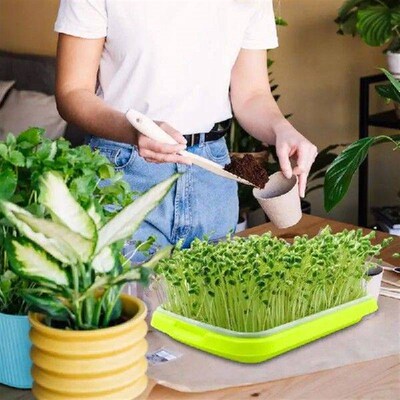 Seed Sprouter Tray Soil-Free Microgreens Growing Trays