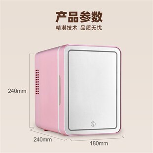 Car Home Dual-use Beauty Mirror Mini Refrigerator Refrigerat