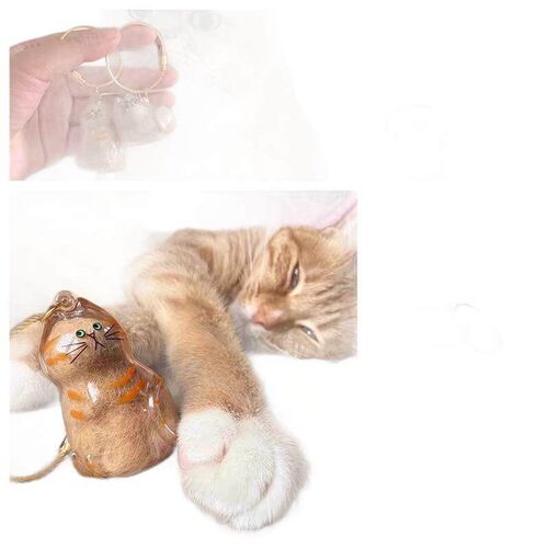 Clear Cat Hair Storage Box Charm Capsule, Memorial Collectib
