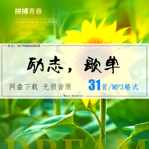 励志篇歌单向前是你的出路 车载mp3歌曲精选高品质音乐无损音源
