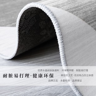 Large carpet living room sofa tea table mat bedside carpet