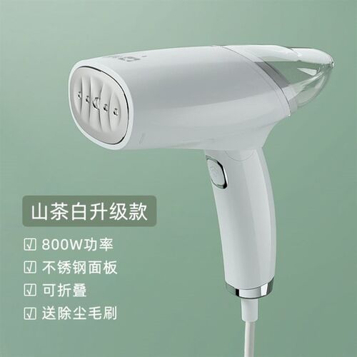 Handheld Steamer Portable Steam Electric iron 220V 1000W