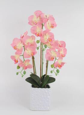 。Feel Phalaenopsis simulation flower set creative silk flow