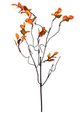 Autumn Color Simulation Wild Raspberry Leaf Vine Zen Atmosph