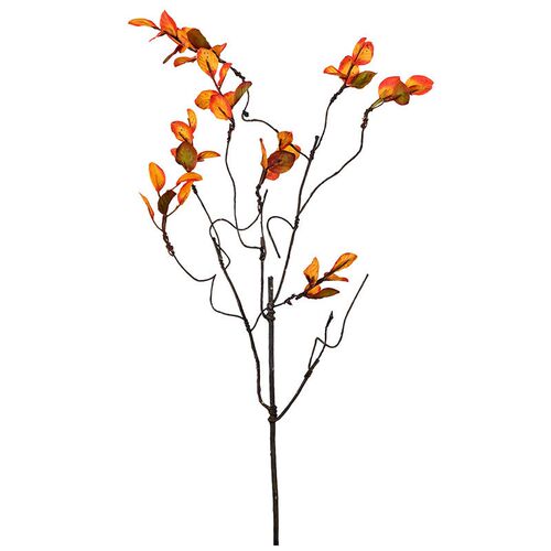 Autumn Color Simulation Wild Raspberry Leaf Vine Zen Atmosph