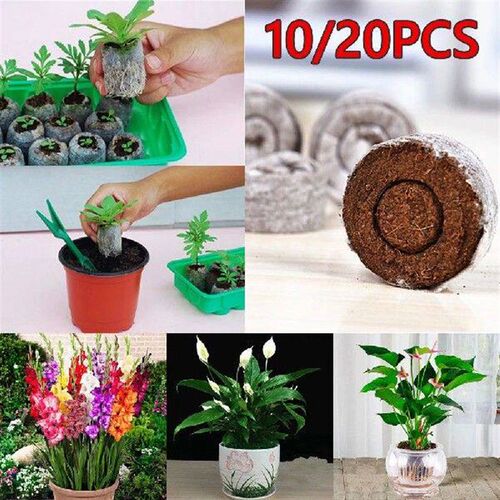 10/20pcs Jiffy Peat Pellets Seedling Soil B Maker