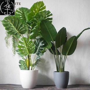 Ceramic Nordic Courtyard Floor Pot Large Green Plant Floor