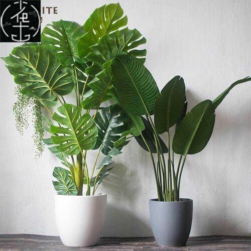 Ceramic Nordic Courtyard Floor Pot Large Green Plant Floor