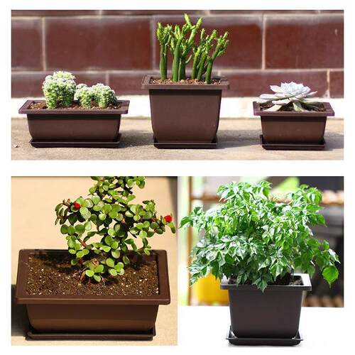Flowerpots Imitation Purple Clay Succulent Plants Pots Outdo