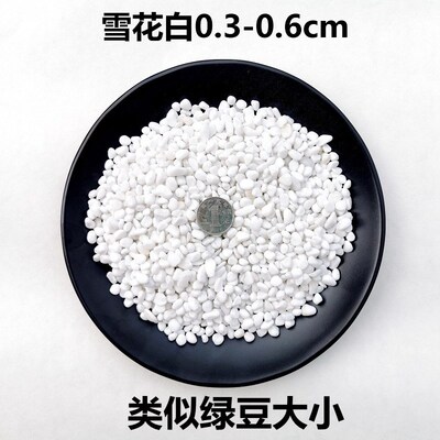 succulent ornamental pebbles pot plant pavement 雨花石小石子