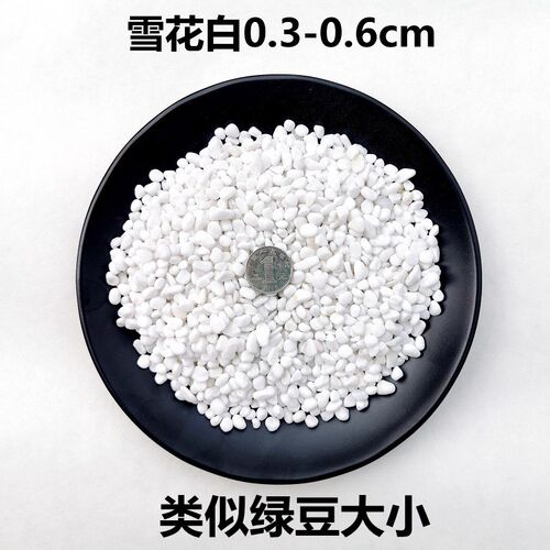 succulent ornamental pebbles pot plant pavement 雨花石小石子