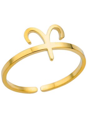 Simple Stainless Steel 12 Constellation Sign Rings Birthston