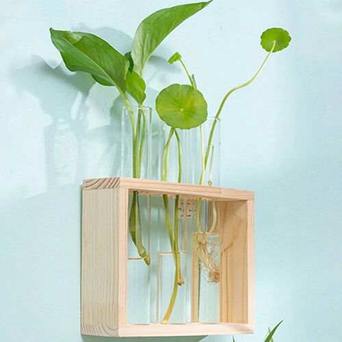 Hydroponic Plants Container with Wood Frame Transparent Glas