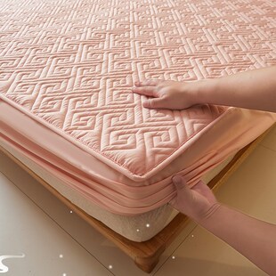 Queen Protector Bed Cover Fitted Waterproof Sheets Mattress