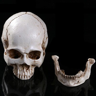 Human Head Replica Resin Divided 3D Skull Mould for Hallowee