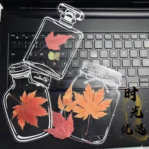 DIY Materials for Dried Flower Bookmark in Transparent Bottl