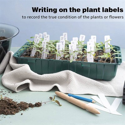 100Pcs Set Plant Markers Plastic Plant Labels Plant Name Tag