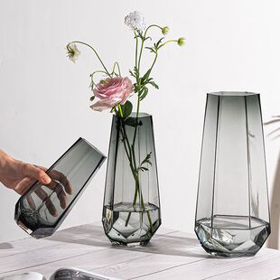 Nordic creative glass vase transparent vase decoration