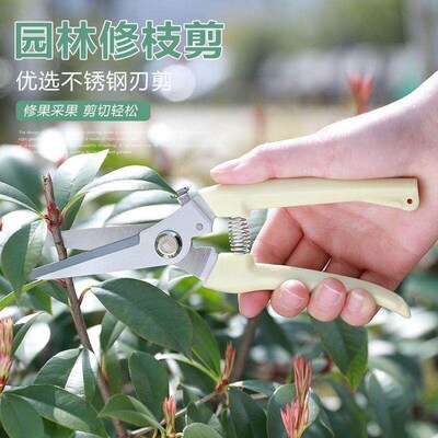 Stainless Steel Garden Shears Sharp Gardening Scissor