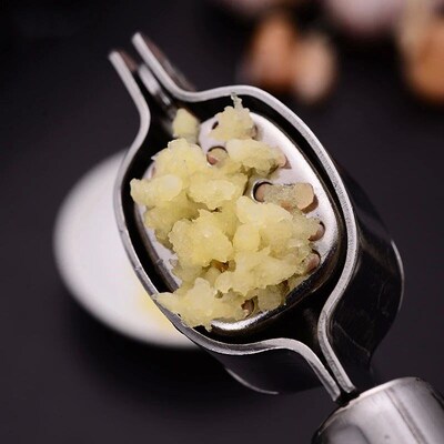 Stainless Steel Garlic Masher Manual Garlic Press Home Kitch