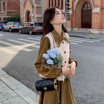This years popular dress suit womens spring new long sleev