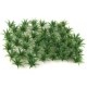 Bushes Forest 100 Model Scale Tree Plants 50pcs Greenery