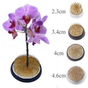 Round Ikebana Flower Frog With Rubber Gasket Art  Fixed Arra
