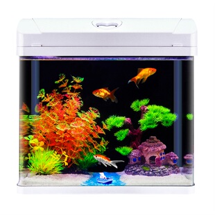 small table top fish tank glass goldfish aquarium decorate