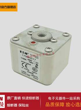 熔断器170M5558 170M5559 170M5560 170M5561 170M5562 170M5563
