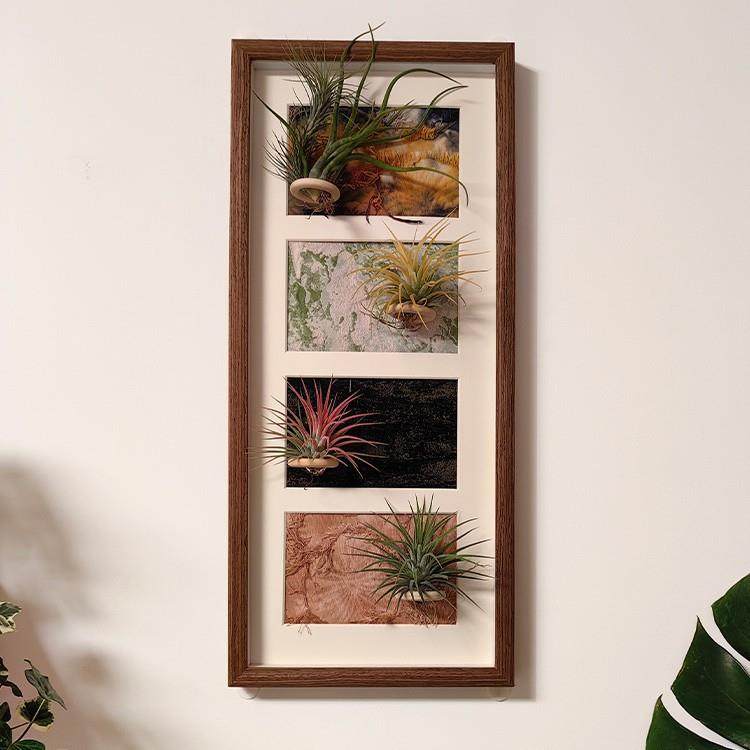 创意相框摆台木质空气凤梨组合画框磁吸挂墙装裱展示空框送配件,家居饰品,DIY亲子装饰画,淘宝优惠券,粉丝福利购,淘宝优惠卷