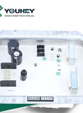 NTA-5A-2DD/2T/4A/2S/2DB自动电压调节器AVR发电机配件电友