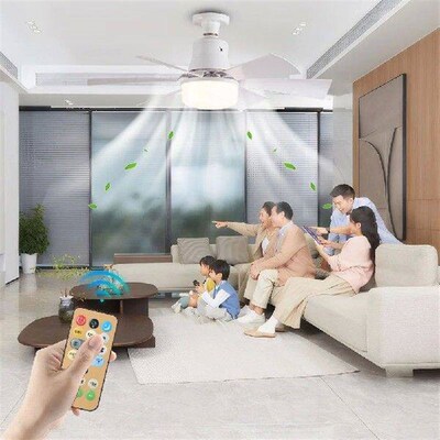 Ceiling Fan Light with Remote Light Bulb Fan Timing LED
