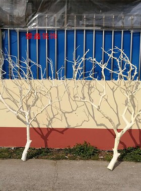 干树枝去皮原木树干枯树枝带分枝带杈树枝室内挂灯干花插花瓶装饰