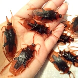 Halloween 12pcs Funny Fake Cockroach Halloween Party Decorat