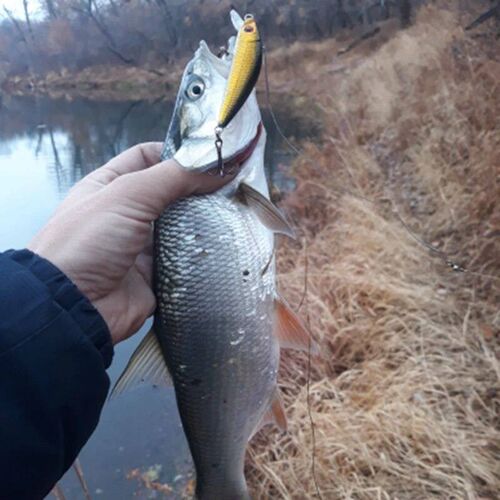 1PCS Minnow Fishing Lure Trolling Wobblers on Pike 70mm 7.9g