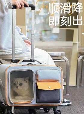Draw-bar box for cat travel Cage Pet Carrier Crate for dog