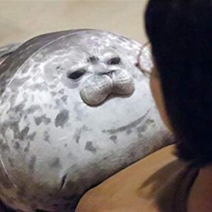 Pillow Toys海豹 Chubby Seal Plush Animal Cotton Blob Stuffed