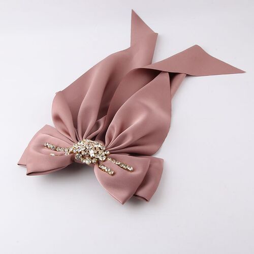 Butterfly Fringe Hair Clip New Fashion Bow Long Strip Rhines
