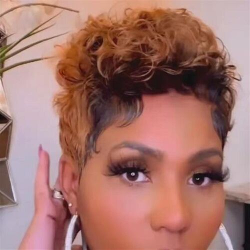 Explosive Afro Wig Small Curl Hairpiece Short Brown Wig for