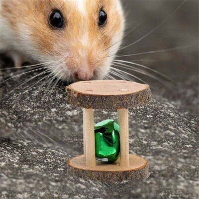 2 Pcs Hamster Chew Toy Rabbit Toys for Bunnies Guinea Pig