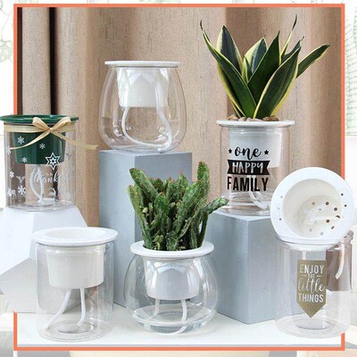 Self Watering Planter Pots Mini Round Design Succulent Plant