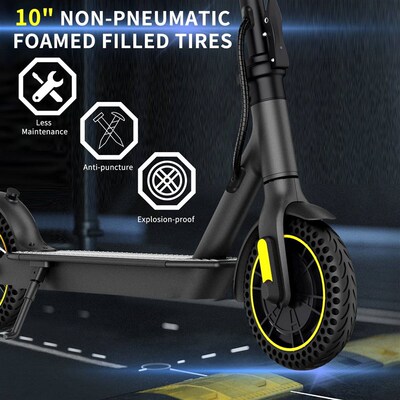 Electric Scooter US Stock 350W 36V 7.8Ah Max Speed 30Km/h AP