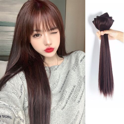 TwoClip Hair Extension Piece Womens Long Invisible OnePiece