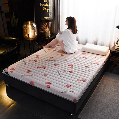 With latex layer memory sponge mattress pad cushion foldable