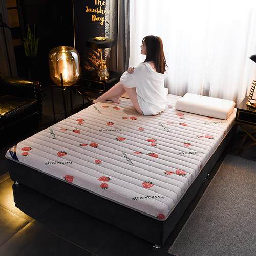 With latex layer memory sponge mattress pad cushion foldable